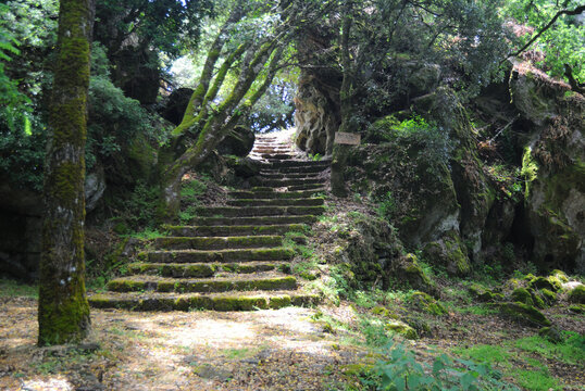 La foresta di Monte Sant'Antonio, la scalinata per il nuraghe