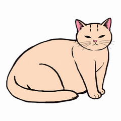 Illustration of a beige pregnant cat, ideal for pet care, animal lovers’ content, or family-friendly visuals.
