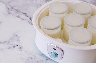 Jars of plain yogurt in a yogurt maker.