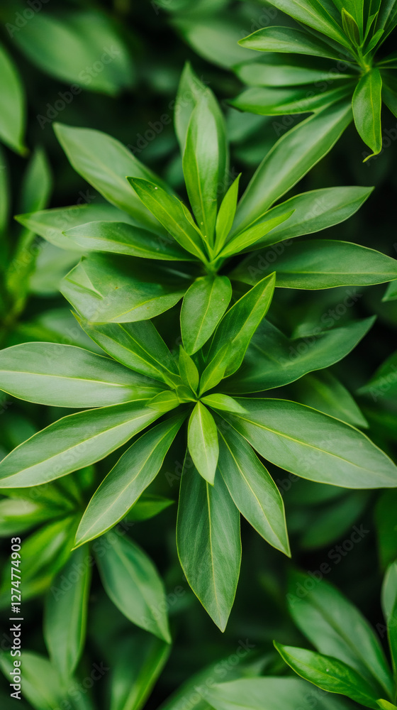 Poster verdant green foliage filling frame, creating lush botanical backdrop for organic design composition