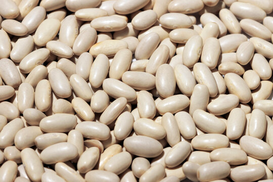Closeup view of white beans spread out in full frame