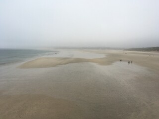 Misty beach