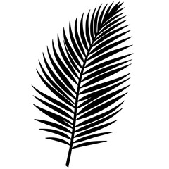 Coconut leaf silhouette