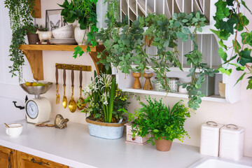 Stylish kitchen corner featuring plants, utensils, and vintage scales for cozy spring atmosphere. Green decorative plants, home decor for Easter holidays