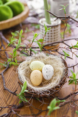 Three colorful eggs in natural straw nest surrounded by green leaves on brown wooden surface. Easter holiday home decor, spring background