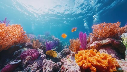 Scuba diving in a coral reef, vibrant marine life with glowing AR species identifiers, serene underwater scene, photorealistic