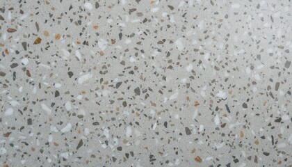 Gray Textured Terrazzo Surface with Intricate Details