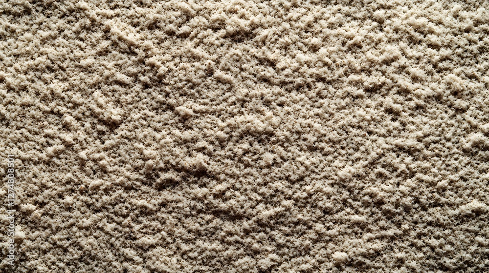 Poster detailed macro photograph of sand, showcasing its fine-grained texture and natural variations in col