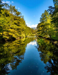River Reflect Clear Detail