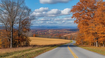 Rolling hills covered in golden grass, a long stretch of asphalt cutting through the peaceful landscape.