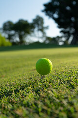 Close up of green golf ball on green grass field