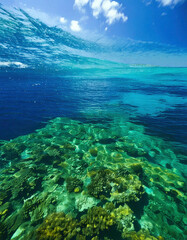 Crystal Clear Vibrant Waters