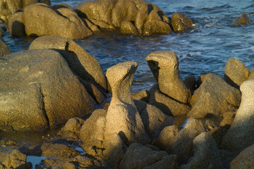 rocky coast of the sea, Isola dell'Asinara. Sassari, Sardinia, Italy