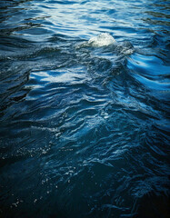 Cinematic Water Rich Textures