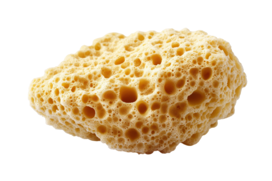 Natural sea sponge resting on a light background, capturing its unique porous texture and form isolated on transparent background