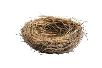 A fragile bird's nest of twigs and grasses on a white background with soft lighting isolated on transparent background