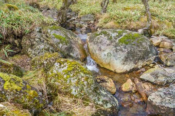 八島ヶ原湿原で見た晩秋の渓流の情景