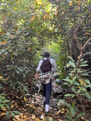 hiking in the woods