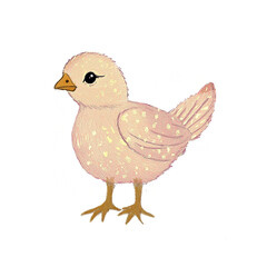 baby chick yellow pink baby bird illustration