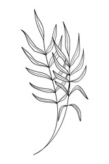 Tropical palm leaves hand-drawn line art.Vector illustration.