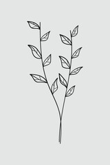 Fototapeta premium Nature plant line art hand drawn.Vector illustration.