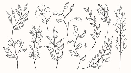 Vector hand drawn set of various silhouette branches with leaves in outline technique on the white background.