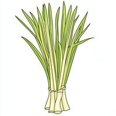Obraz premium lemongrass, a simple line drawing, flat design style, pastel colors, white background