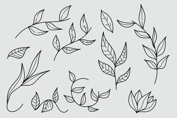 Fototapeta premium Floral line art hand drawn elements collection. Greenery for decoration, wild and garden plants, branches, leaves. Vector illustration