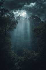 Fototapeta premium fog over the river