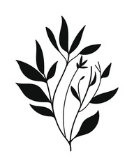 Silhouette botanical vector illustration.