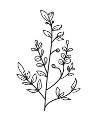 Branch of a plant with flowers and leaves. Hand drawn vector illustration.