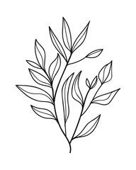 Tropical floral line art. Design element with tropical and floral theme.Vector illustration.