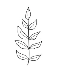 Abstract leaf line art on the white background. Vector