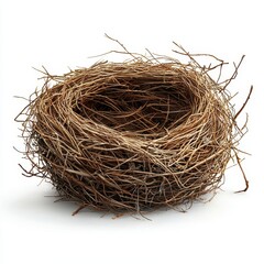 Obraz premium Empty Bird s Nest Detailed Close up of Natural Twigs Isolated on White Background
