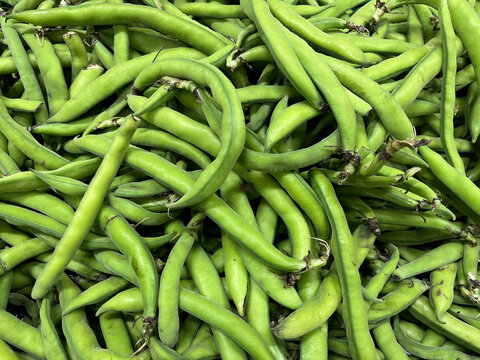 Broad beans (Turkish: Bakla) on a supermarket counter.