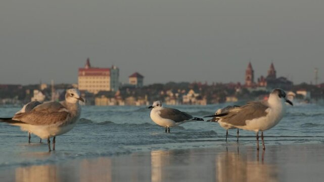 Vilano Beach, Florida, USA