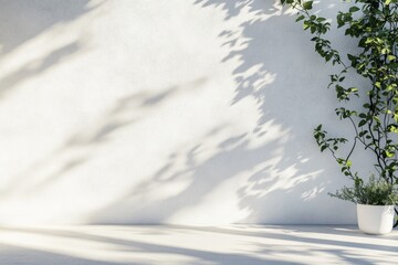Sunlit wall, plant, shadows, mockup, interior design