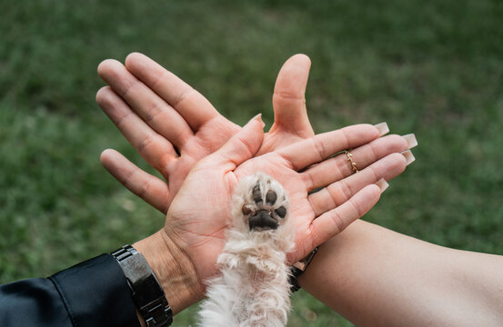 primer plano de manos de una familia moderna - foto de stock 