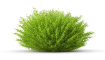 Fototapeta premium Lush Green Bush Plant 3d Render for Landscaping Design