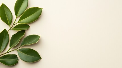 Fototapeta premium A cluster of vibrant green leaves rests against a soft beige background, creating a serene and natural composition.