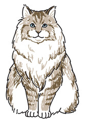サイベリアンの手書きイラスト