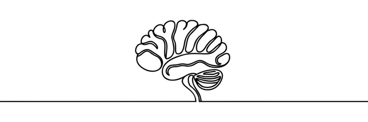 Human Brain line drawn Icon symbol vector illustration isolated on white background