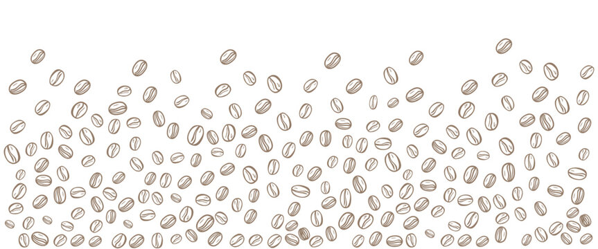 Coffee beans falling pattern or background. Vector illustration