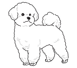 ビションフリーゼの手書きイラスト
