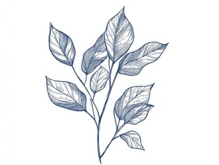Artistic Set of Hand Drawn Leaves as Decorative Vector Illustrations Bringing Natural Elegance and Organic Charm to Creative Designs