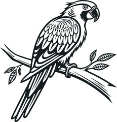 Parrot Silhouette Sitting on a Tree Branch