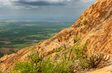 Rocky Landscape and Cactus Vegetation in the Caatinga Biome in the Countryside of Paraíba Brazil During the Rainy Season