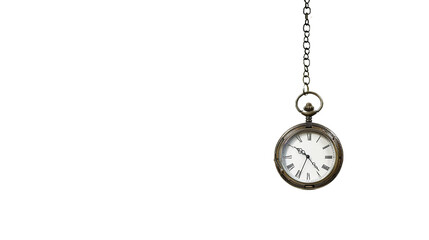 Watch on Tree Branch on transparent background PNG.
