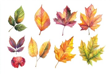 Watercolor Autumn Leaves Clipart: Colorful Fall Foliage for Design