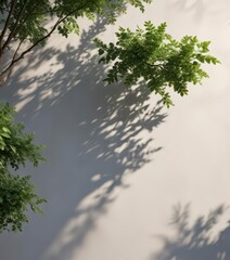 Leafy greenery casts dappled shadows on a minimalist background,  leafy,  plant,  minimalism